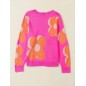 Pulls d’hiver